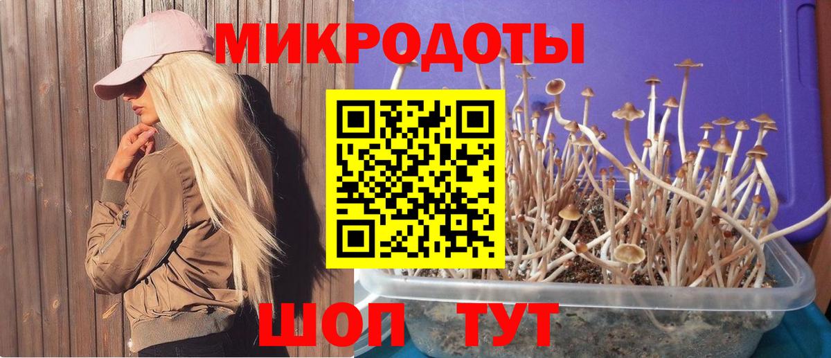 Псилоцибиновые грибы Cubensis Выкса