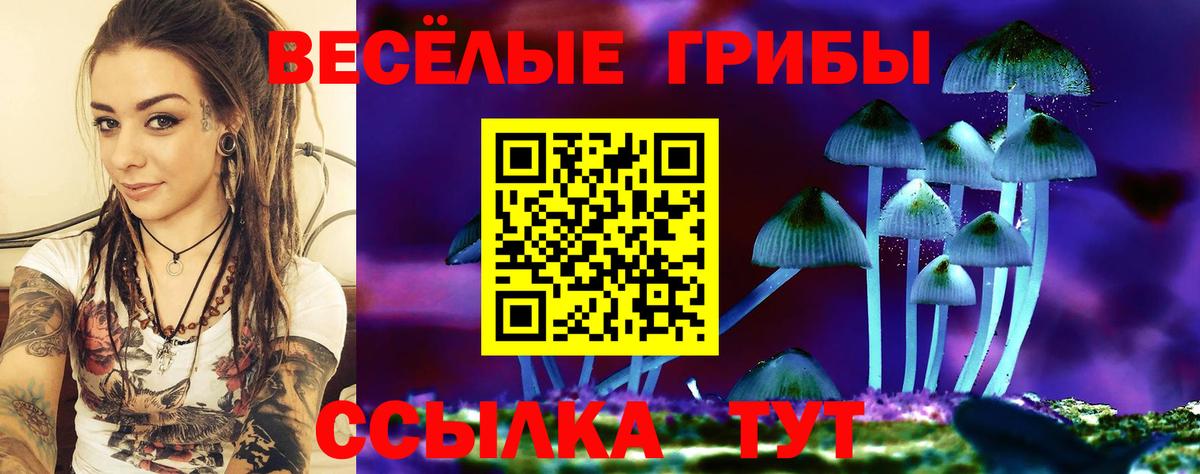 Выкса  Псилоцибиновые грибы Magic Shrooms  Псилоцибиновые грибы Psilocybe  Вход с VPN 